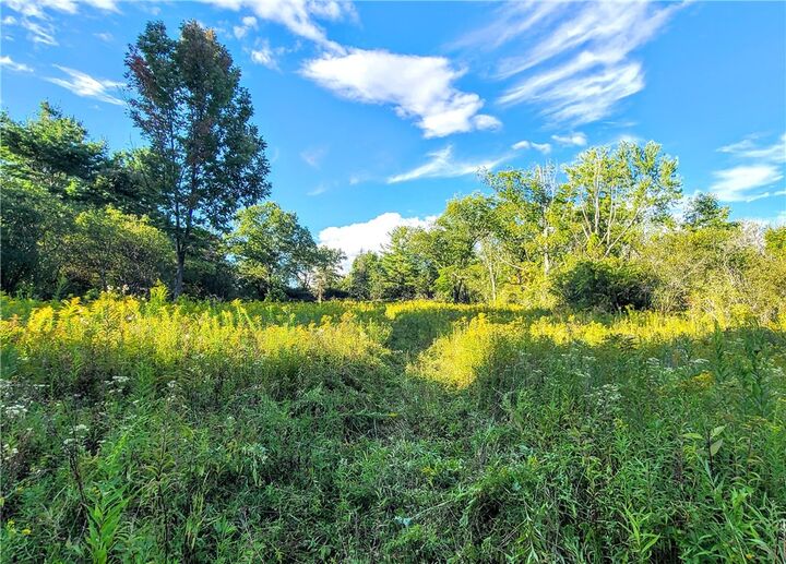 74 Cherry Road  Ithaca NY 14850 photo