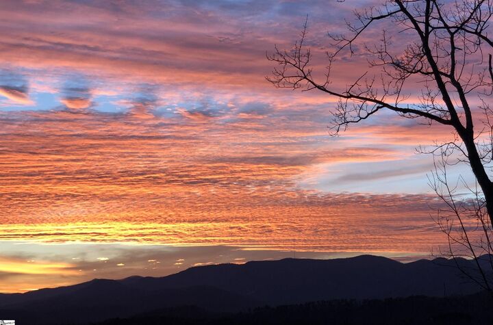 Property Photo: 156 Cherokee Rose Trail SC 29661