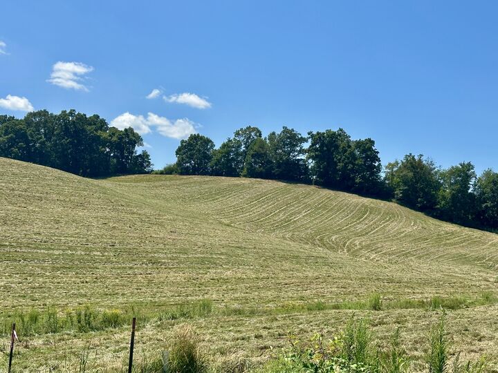 Property Photo:  133 Jaguar Way  KY 40741 