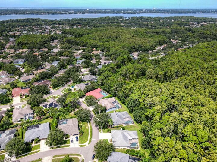 Property Photo:  4125 Kirkaldy Drive  FL 34685 