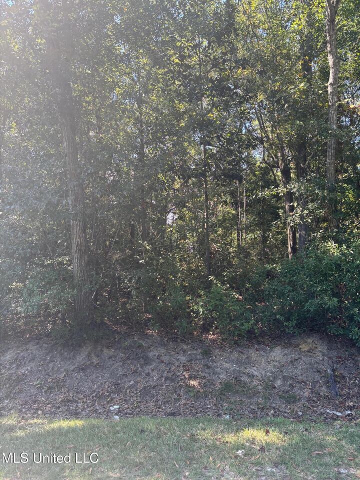 Property Photo: 0 Fayard Street MS 39576