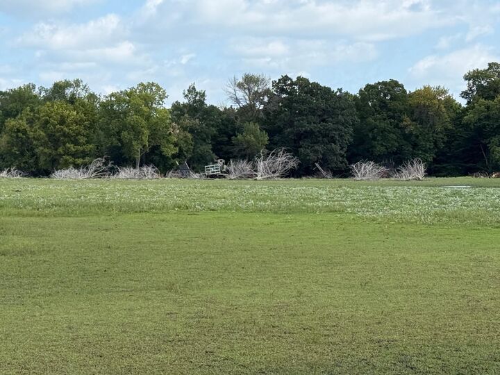 Property Photo: 38388 512th St MN 56003