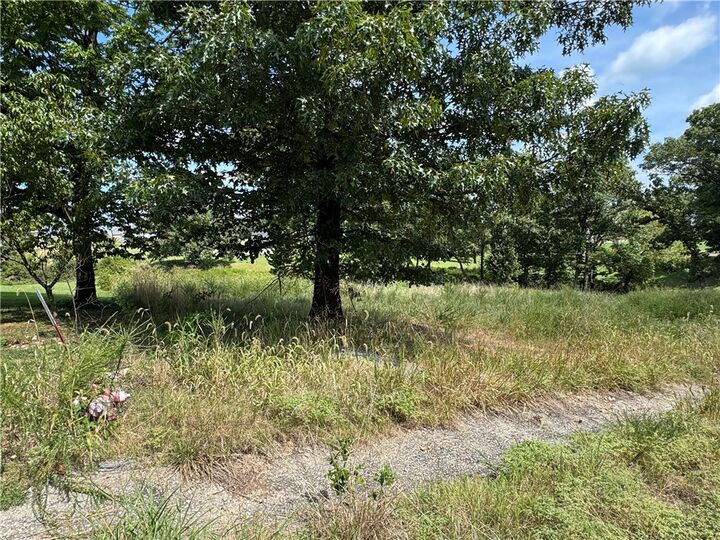 Lot 13 Bunch Circle  Gravette AR 72736 photo