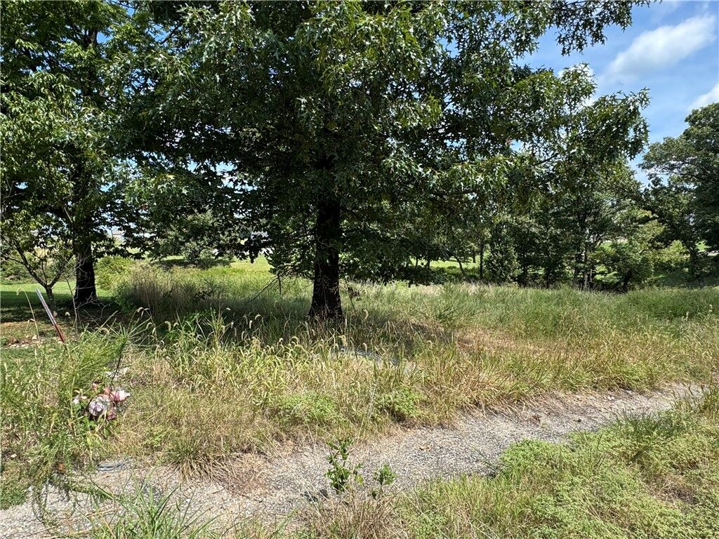Property Photo: Lot 13 Bunch Circle AR 72736