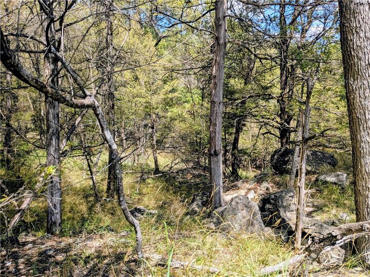 Property Photo: 3 Beaver Cove AR 72631