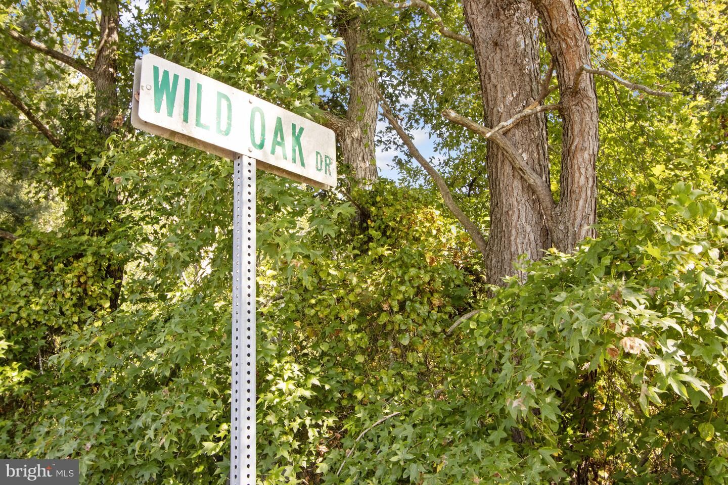 Property Photo: Lot #5 Wild Oak Drive DE 19945