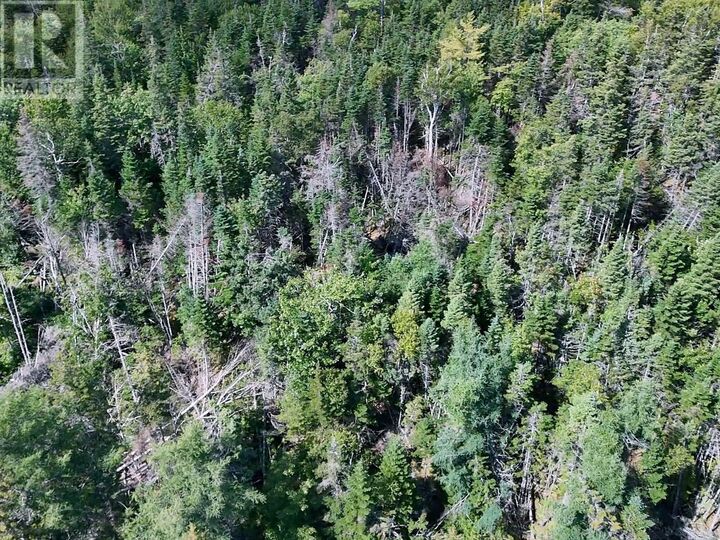 Property Photo:  Old Louisbourg Road, New Boston Road  NS B1K 2P7 