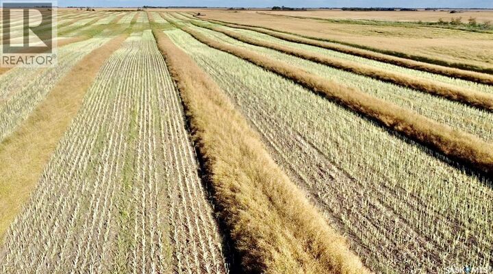 Rm Of Laird Grain Land  Laird Rm No. 404 SK S0K 1E0 photo