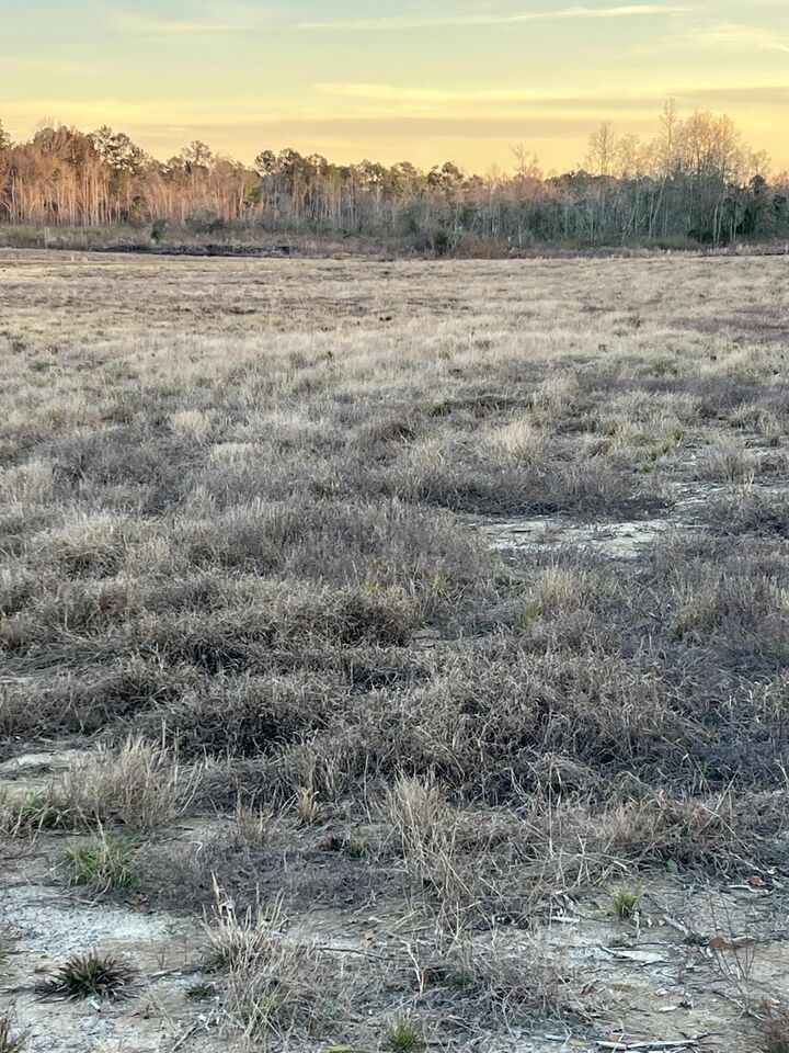 Property Photo:  Lot 6 1 Ac Patton Creek Rd.  MS 39367 