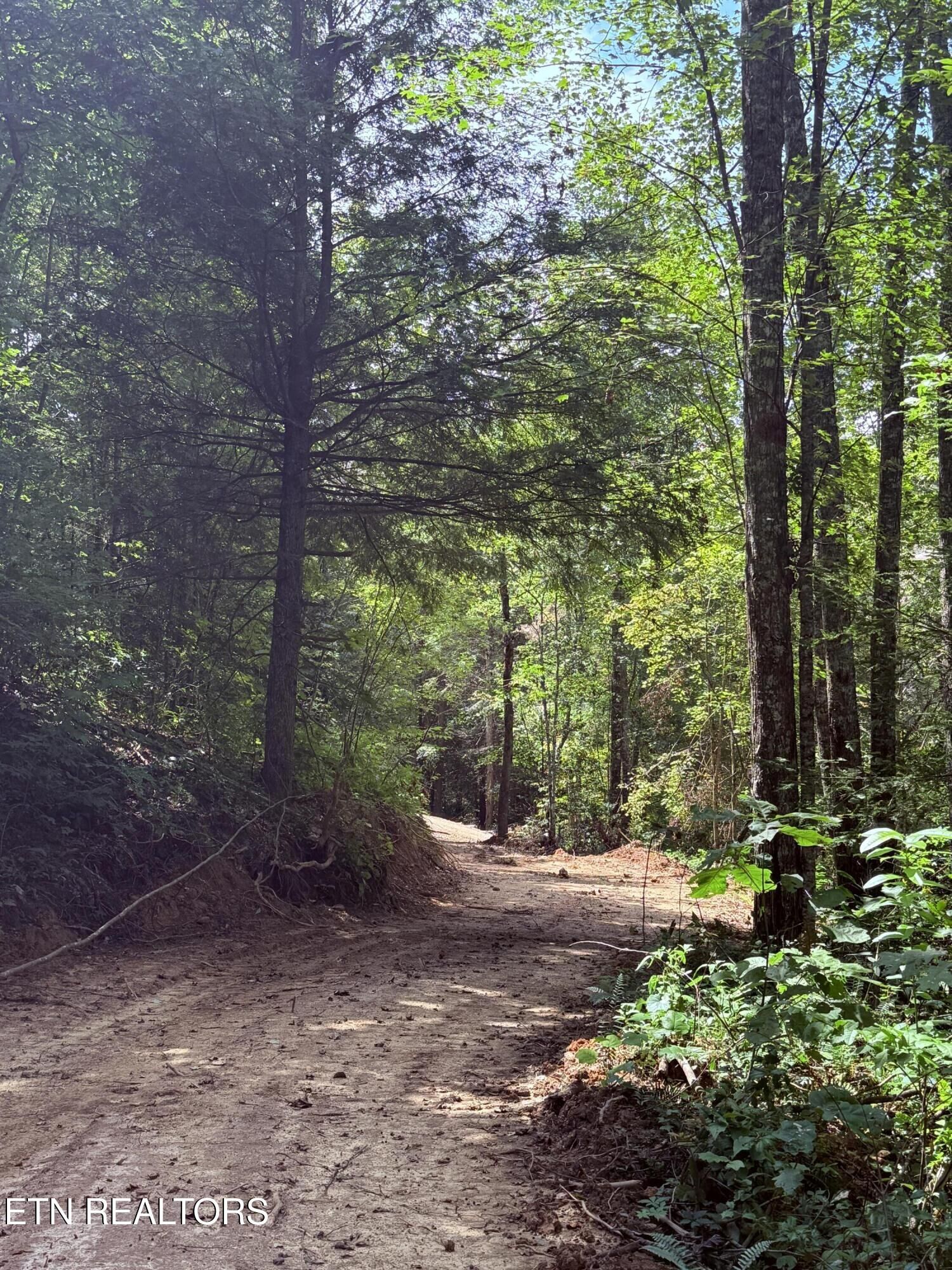 Property Photo:  1055 Big Four Rd  TN 37766 