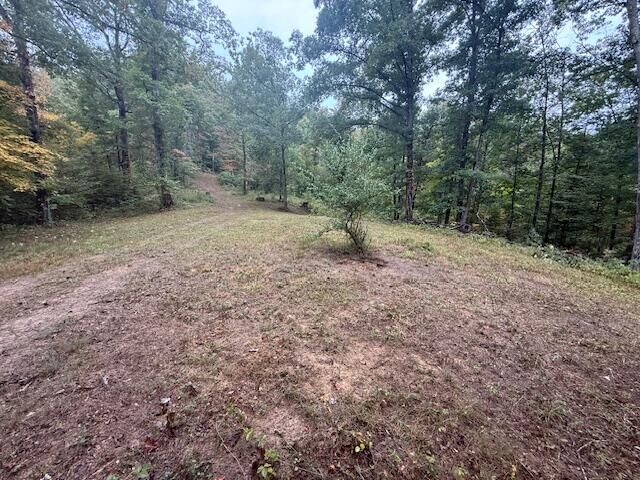 Property Photo: 15709 Trace Road KY 41168