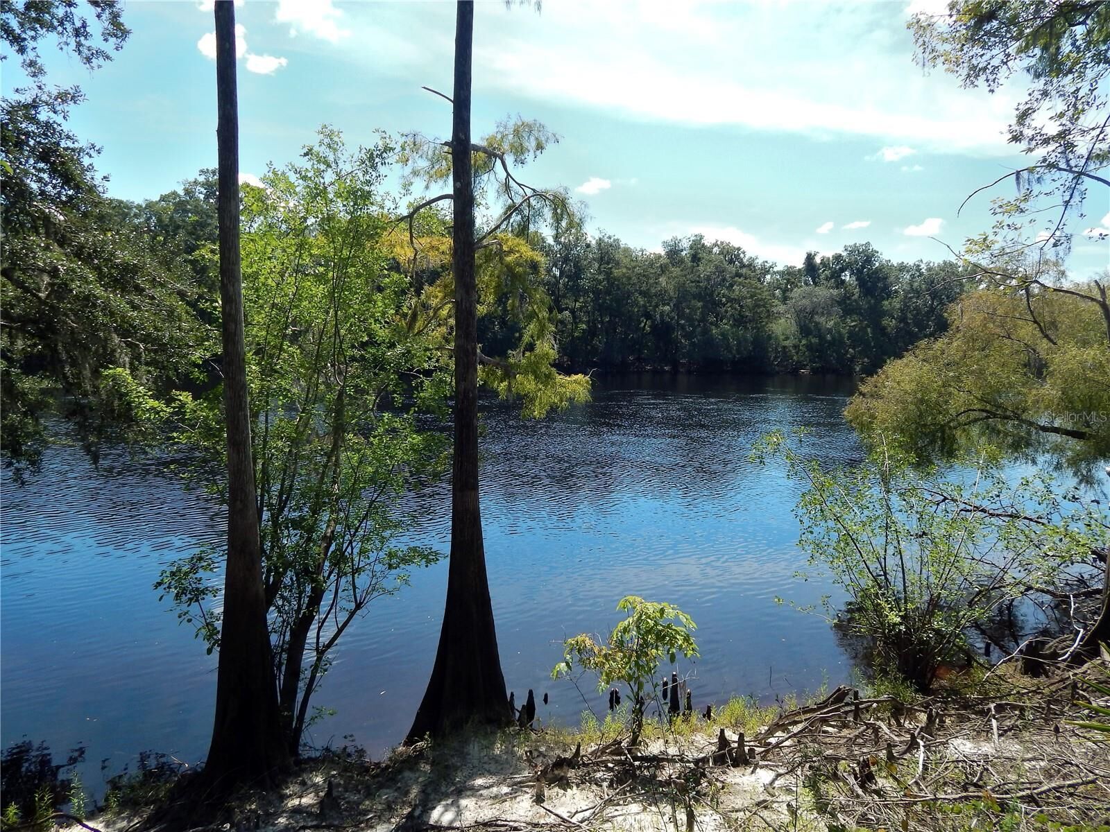 Property Photo: 1357 NE 930th Street FL 32680