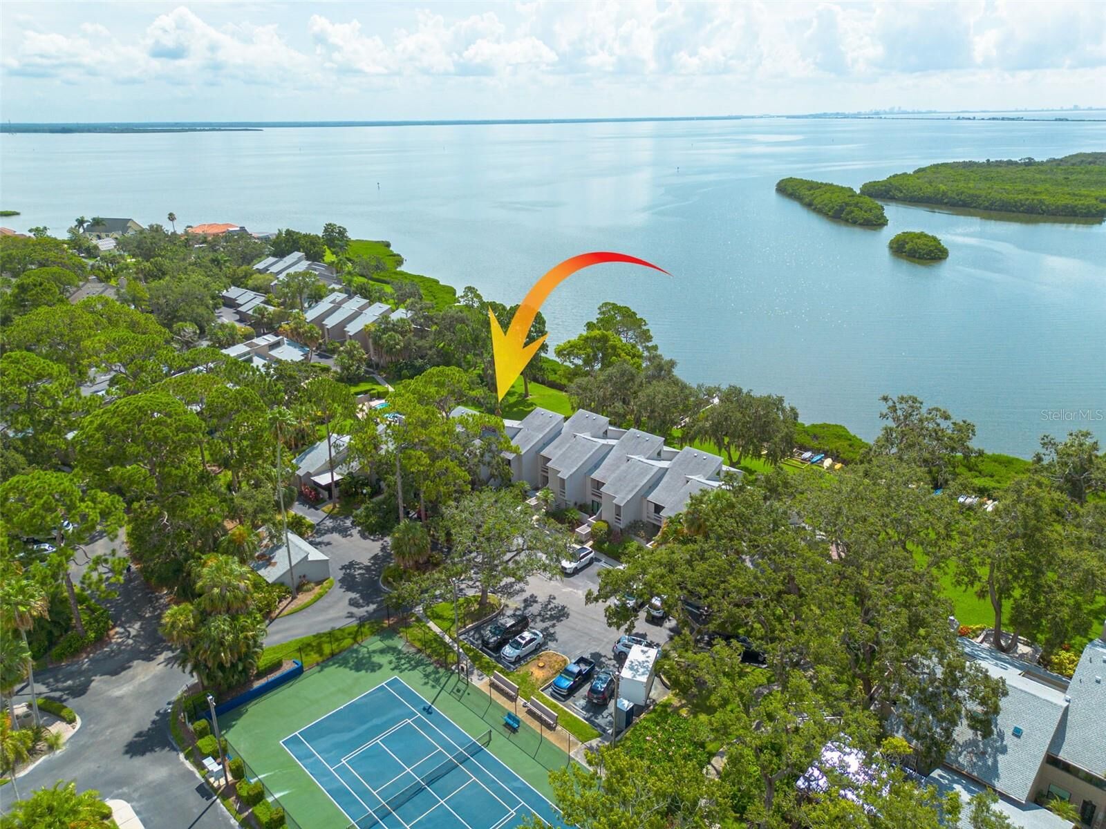 Property Photo:  1111 N Bayshore Boulevard B11  FL 33759 