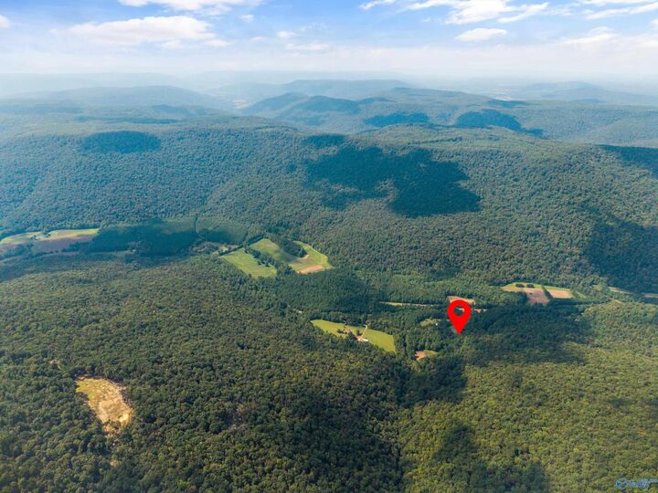 Property Photo:  3818 -3 County Road 4 Tract 3  AL 35751 