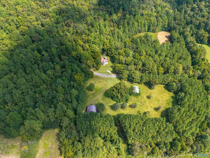 Property Photo:  3818-1 County Road 4 Tract 1  AL 35751 