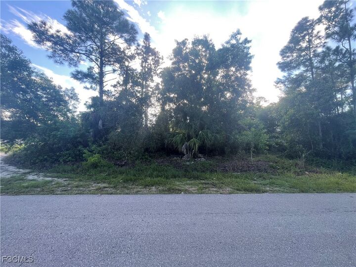 Property Photo:  1804 Dewitt Avenue N  FL 33971 