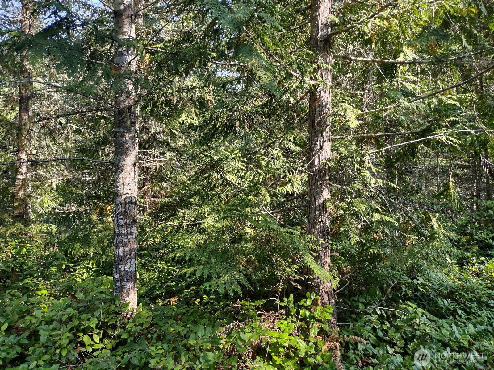 Property Photo:  0  Blue Valley Road  WA 98362 