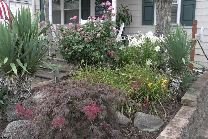 Property Photo: 32 N Manor Ave NJ 08403