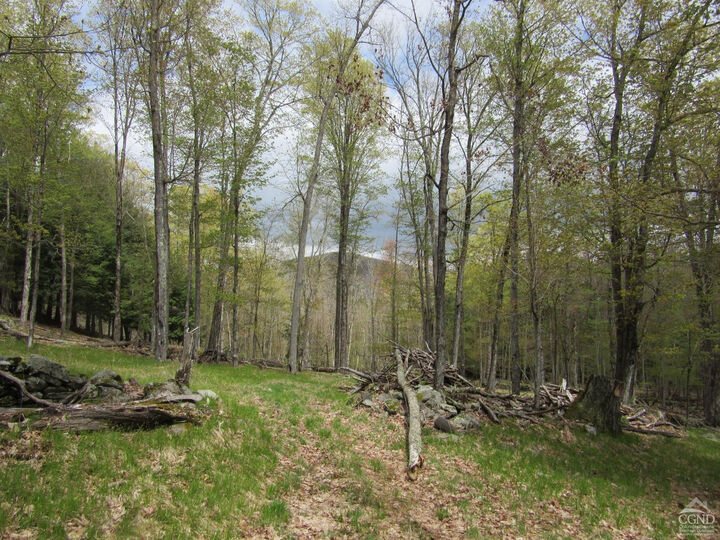 Property Photo:  0 Route 23C Lot #4  NY 12452 