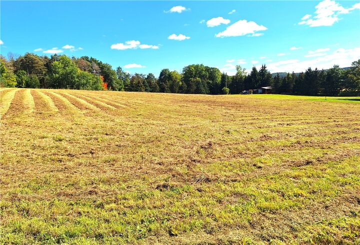 Rt-21 N  Wayland NY 14572 photo