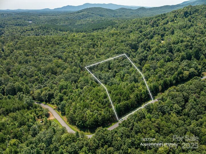 Property Photo:  29 Highland Drive  NC 28746 