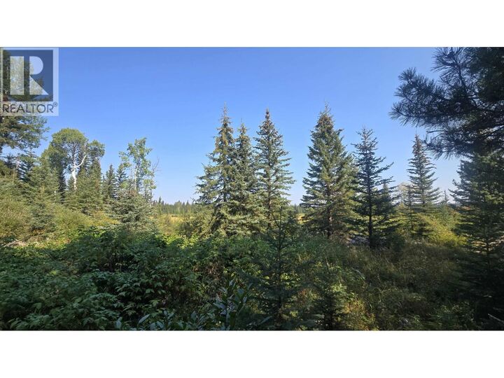 Dl 2886 Horse Lake Forest Service Road — photo 1
