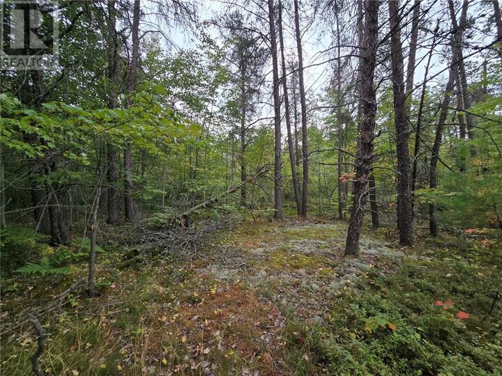 Property Photo: Pcl 18047A Hwy 607 ON P0M 1A0