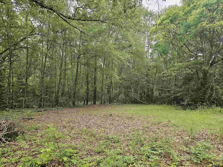 Property Photo:  125 Jenkins St  TX 75654 