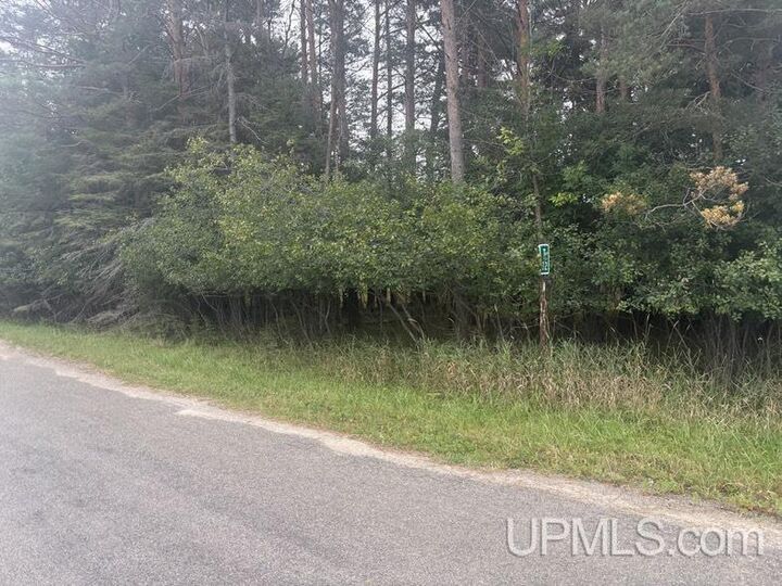 Property Photo: 10088 S .75 Road MI 49878