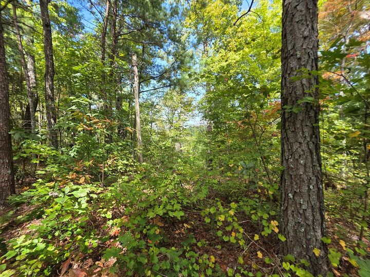 Property Photo:  1077 Harris Creek Drive  GA 30540 