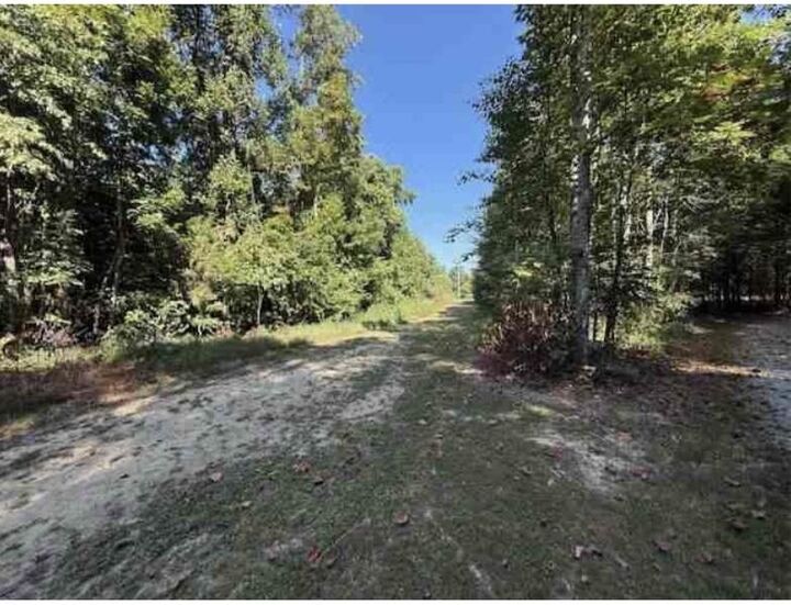 Property Photo: 2235 Larry Hunt Road KY 40060