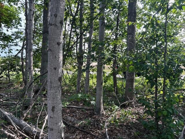 Property Photo: V/L 2.06ac Estelle Road MI 49735