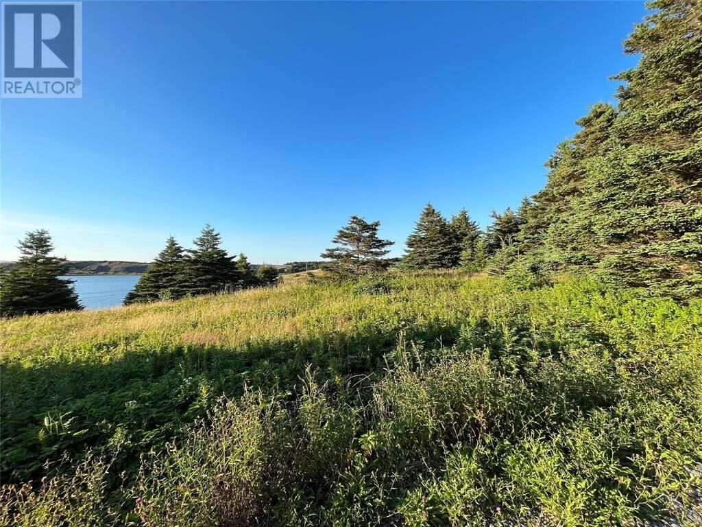 Property Photo:  117 Cape Shore Highway  NL A0B 2Y0 