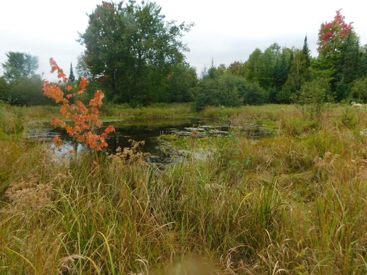 Property Photo:  W3344 Grundy Rd  WI 54442 