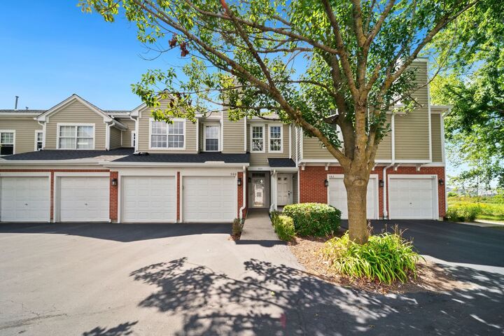 Property Photo:  580 Muskegan Court 580  IL 60061 