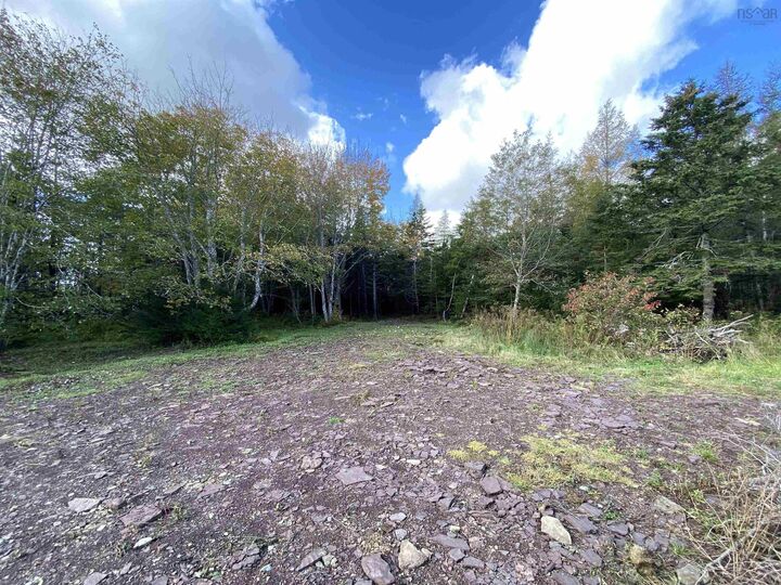Property Photo:  Lot Highway 320  NS B0E 1V0 