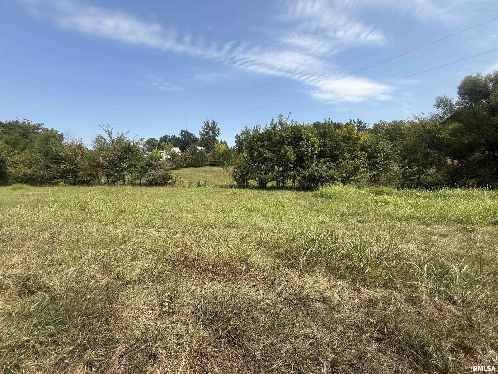 Property Photo: 00 Wood Road IL 62966
