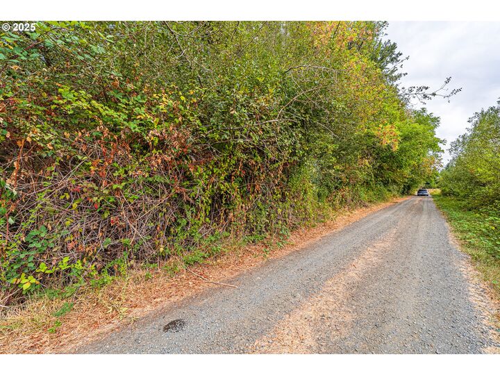 B St  Alvadore OR 97409 photo
