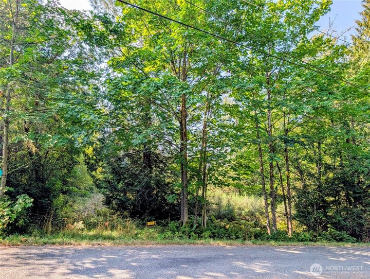 Property Photo:  0  D Street NW  WA 98349 