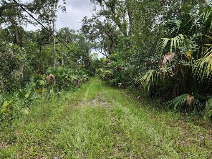 Property Photo:  13046 E Shawnee Trail  FL 34450 