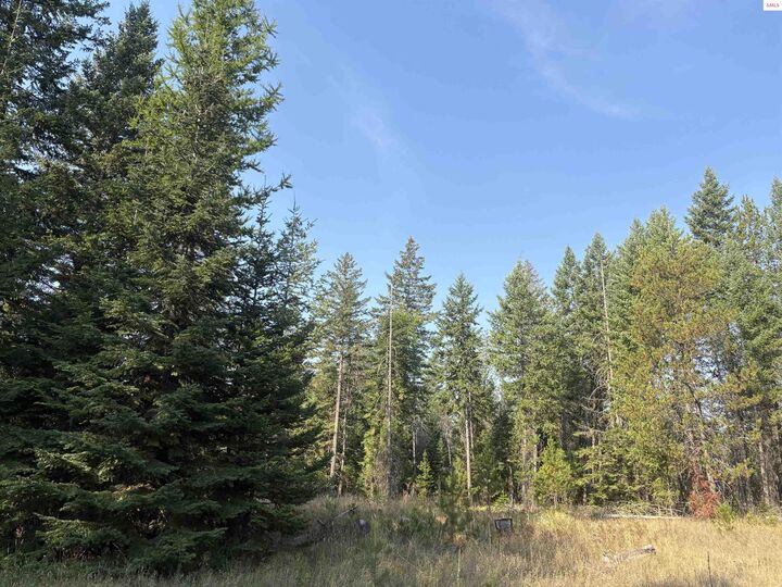 Property Photo:  Nna E Lewellen Creek (South 10)  ID 83801 