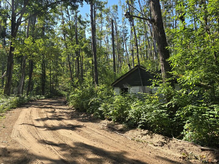 8563 Lewis Road  Vanderbilt MI 49795 photo