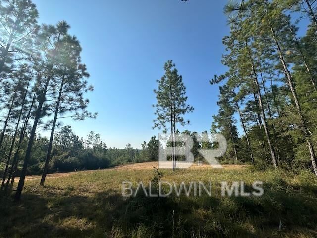 Property Photo:  11865 Red Hill Rd Extension  AL 36507 