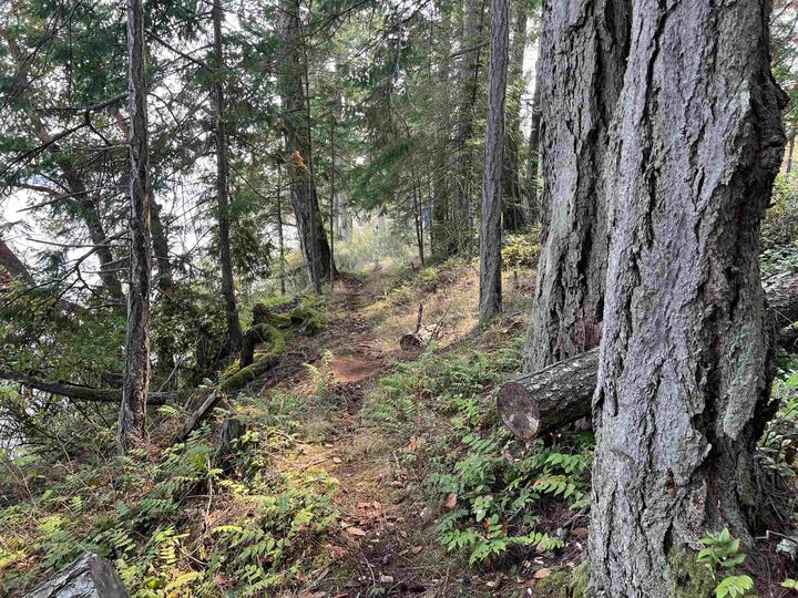 Property Photo: North End Road Lot 2 BC V0V 0V0