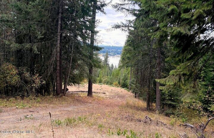 Property Photo: 16467 W Sala Lane ID 83854