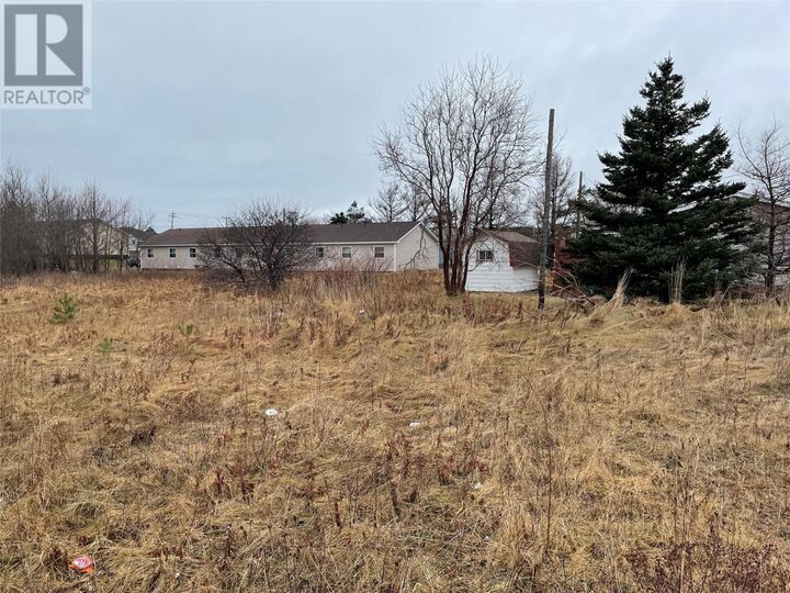 Property Photo:  93 West Street And 17 Boland Drive  NL A2N 1E6 