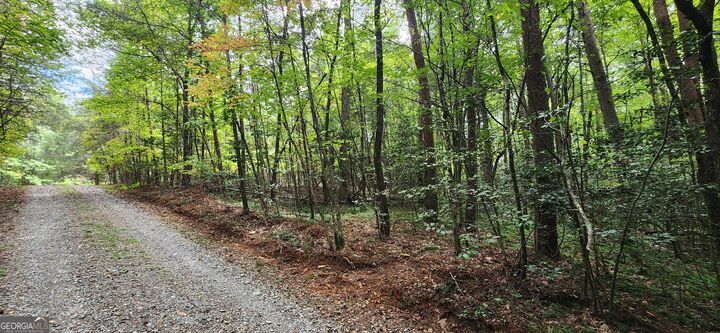 Property Photo:  Lt 14,15 Donna Lee Lane  GA 30559 