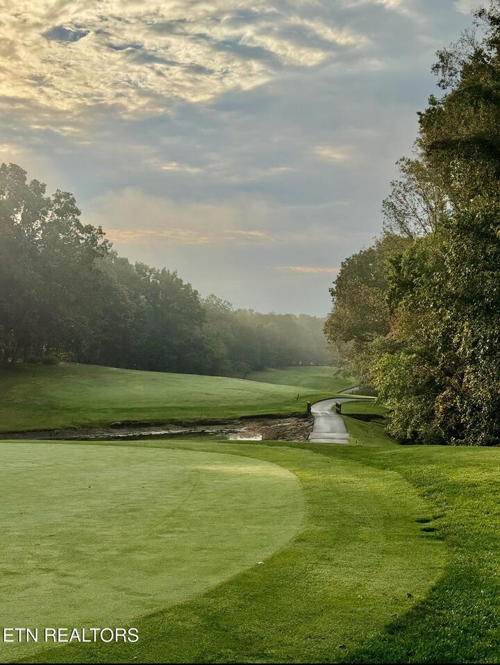 Property Photo:  138 Baltusrol Rd  TN 38558