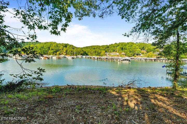 Property Photo:  0 Lakesprings Drive  TN 37766 