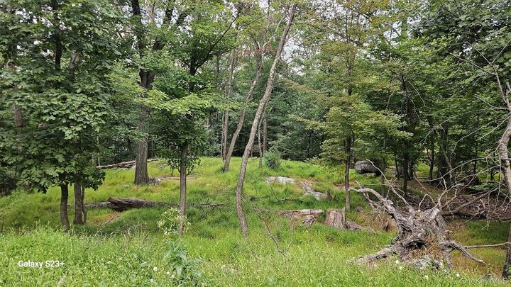 Ridgetop Drive  Tomkins Cove NY 10986 photo